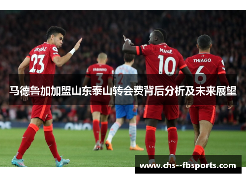 马德鲁加加盟山东泰山转会费背后分析及未来展望