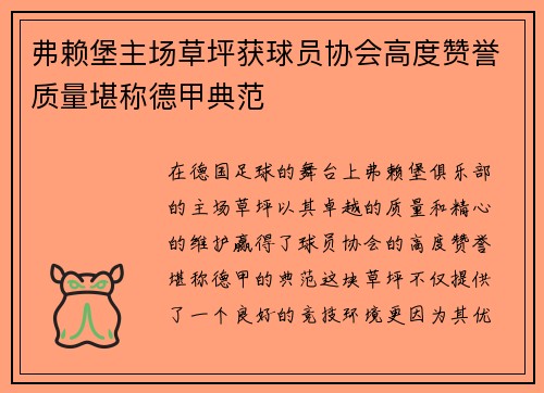 弗赖堡主场草坪获球员协会高度赞誉质量堪称德甲典范